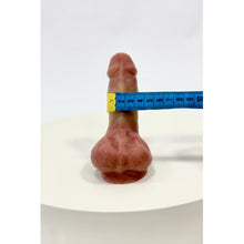 Load image in gallery viewer, Packer Transtore Allday (5in1) Transtore Handmade Painting - 10cm Rods or Vertebras