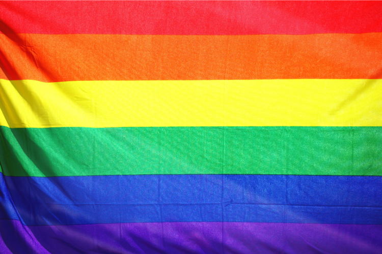 Bandera Orgullo
